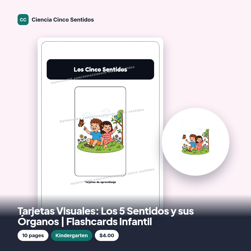 Tarjetas Visuales: Los 5 Sentidos y sus Órganos | Flashcards Infantil