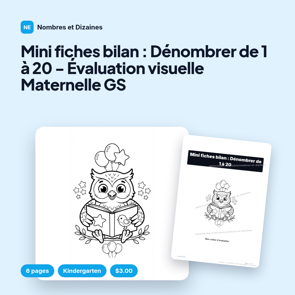 Mini fiches bilan : Dénombrer de 1 à 20 - Évaluation visuelle Maternelle GS