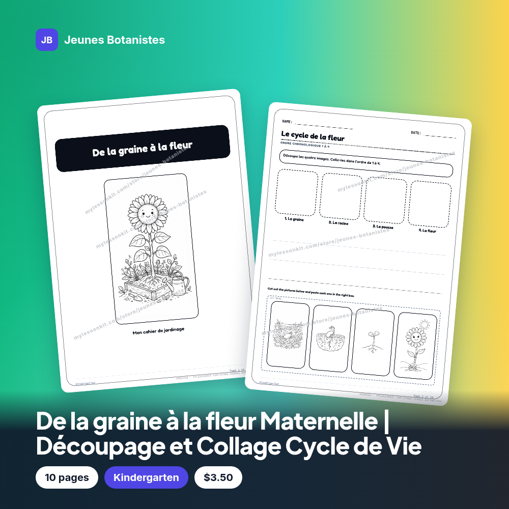De la graine à la fleur Maternelle | Découpage et Collage Cycle de Vie