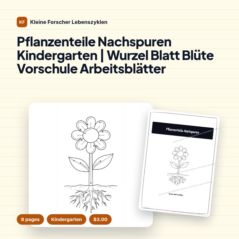 Pflanzenteile Nachspuren Kindergarten | Wurzel Blatt Blüte Vorschule Arbeitsblätter